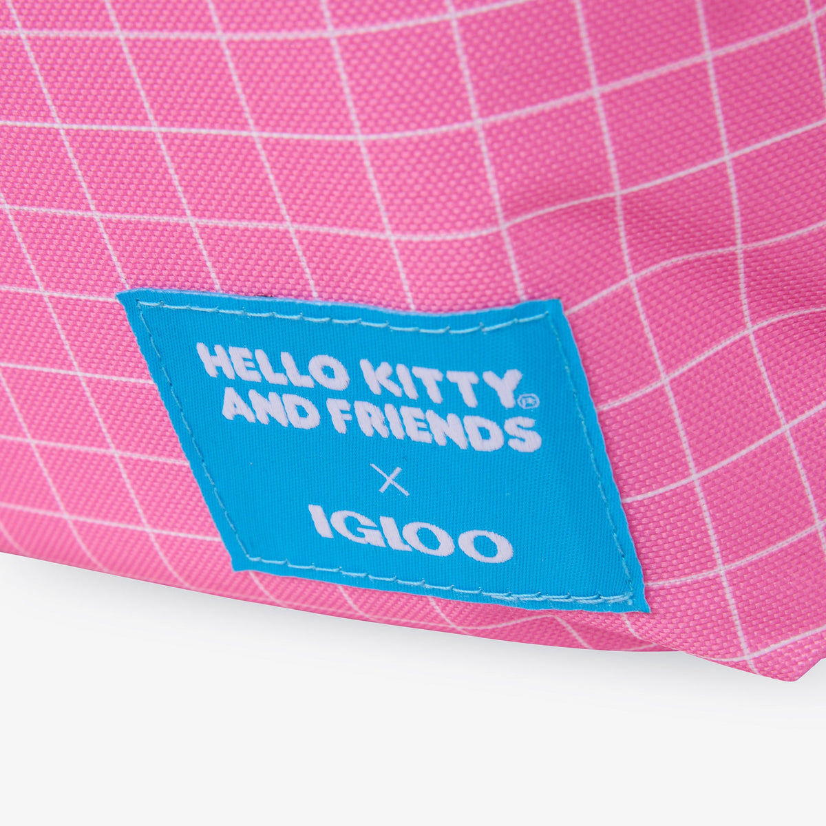 hello-kitty-and-friends-bff-mini-convertible-backpack-cooler-w2 00027591-L.jpg
