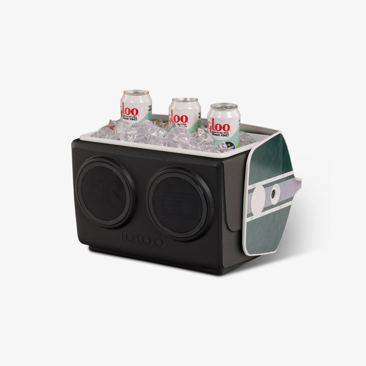michigan-state-university-kooltunes-c4 00027730-P1.jpg