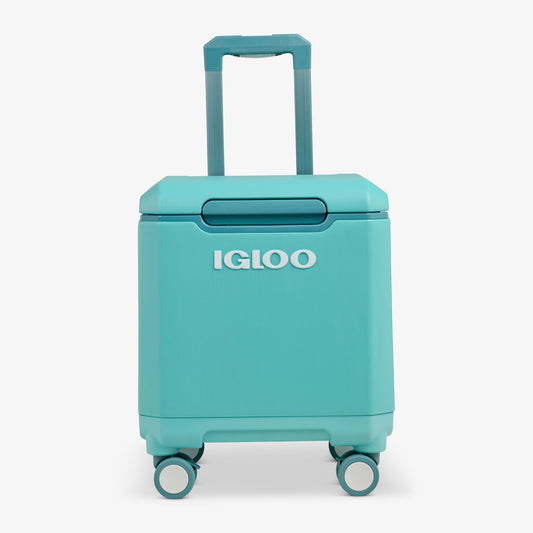 tag-along-too-spinner-cooler-k8 00033184-F1_b51e854c-365a-4272-b384-7c3dd41ac0b8.jpg
