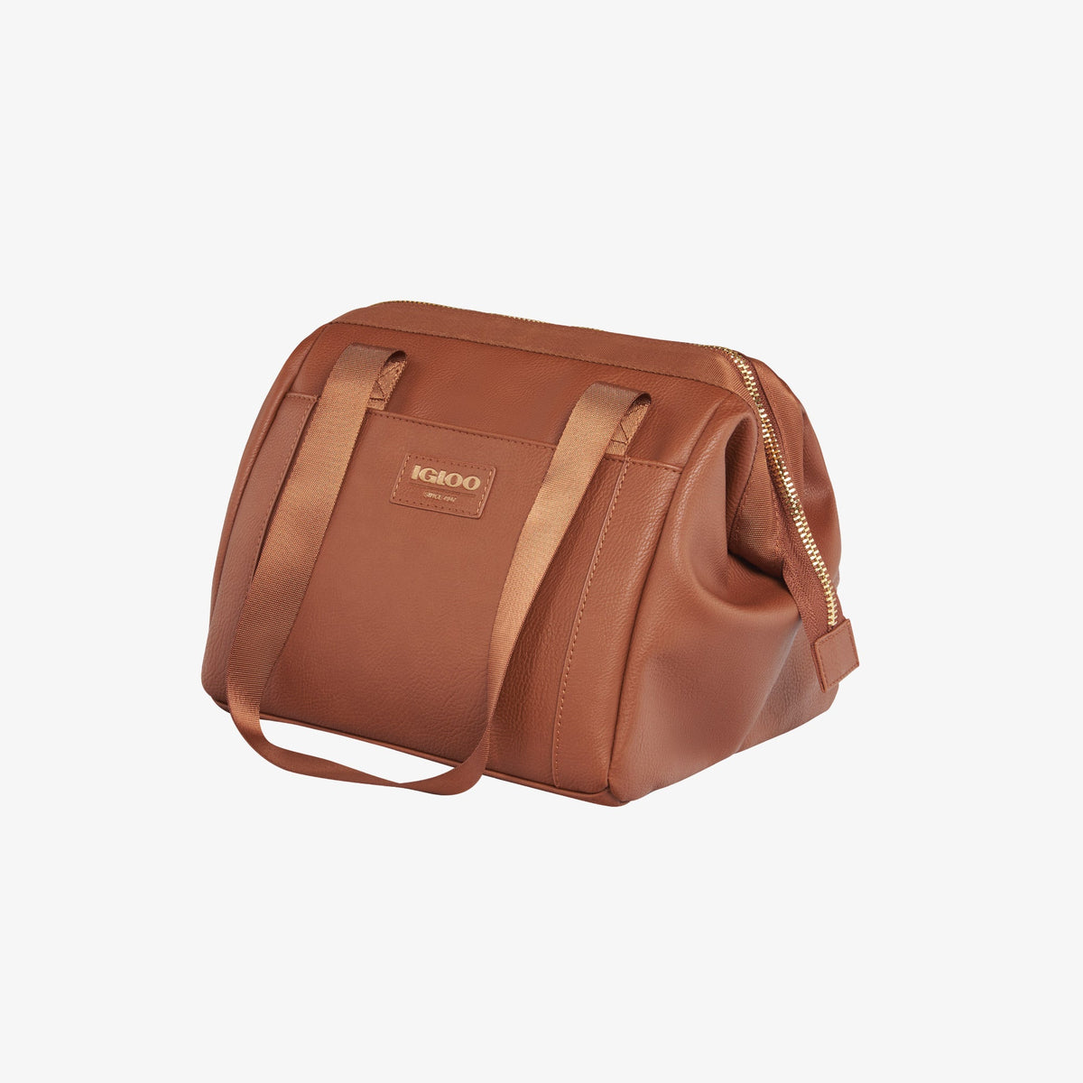 igloo-luxe-lunch-tote-cooler-bag-a7 00061160_2.jpg