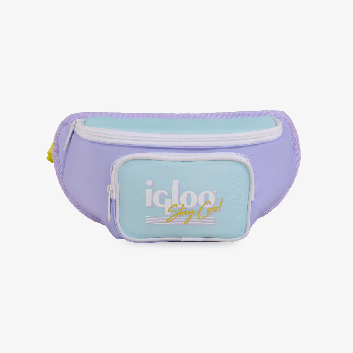 retro-fanny-pack-a4 00063078-F.jpg