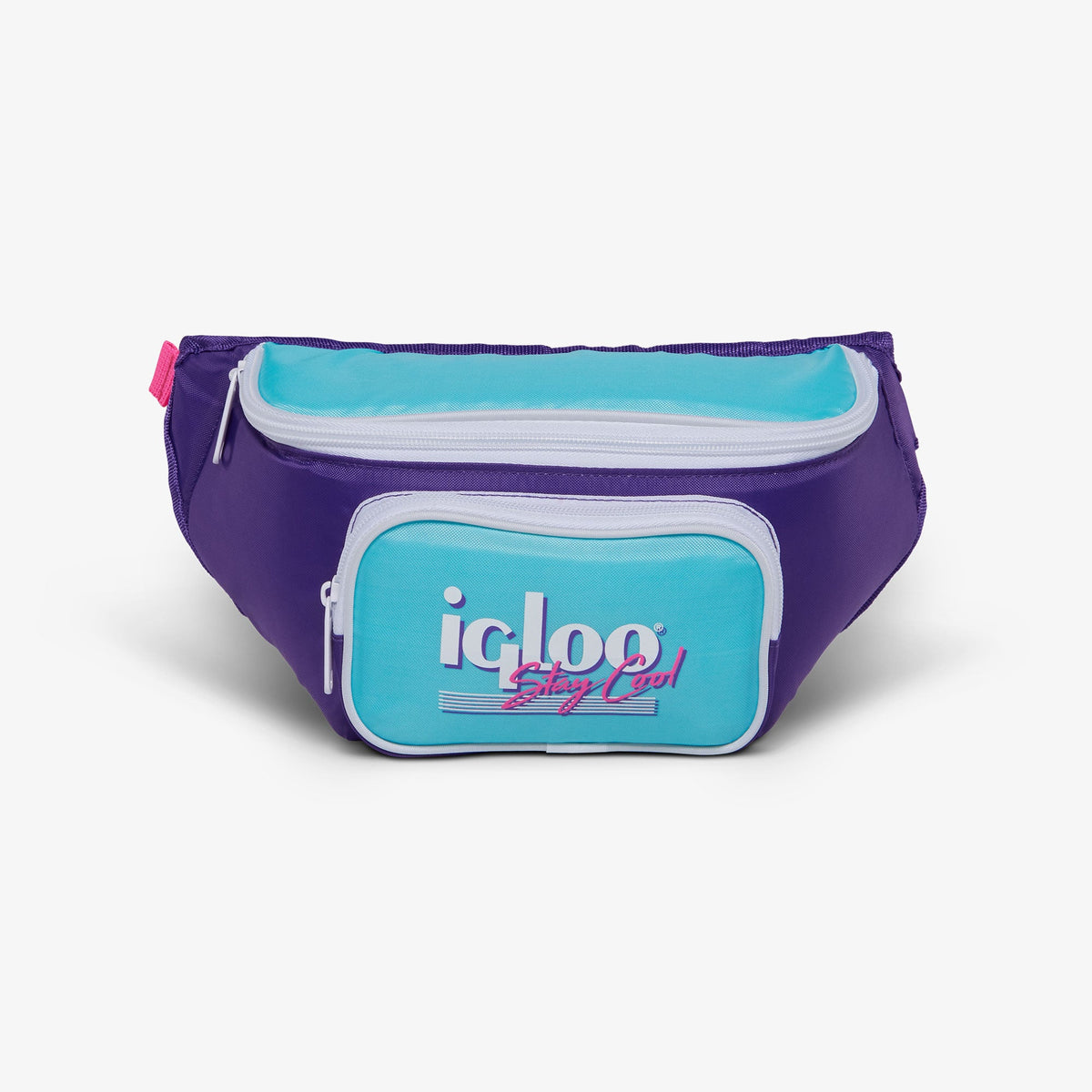 retro-fanny-pack-a4 00066056-F.jpg