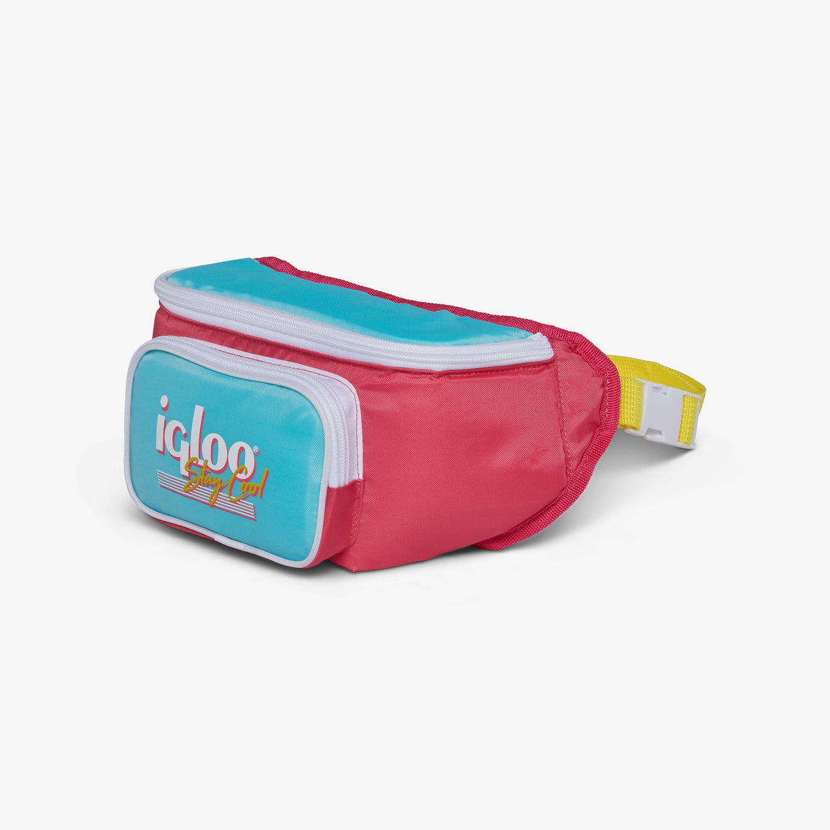 retro-fanny-pack-a4 00066058-H1.jpg