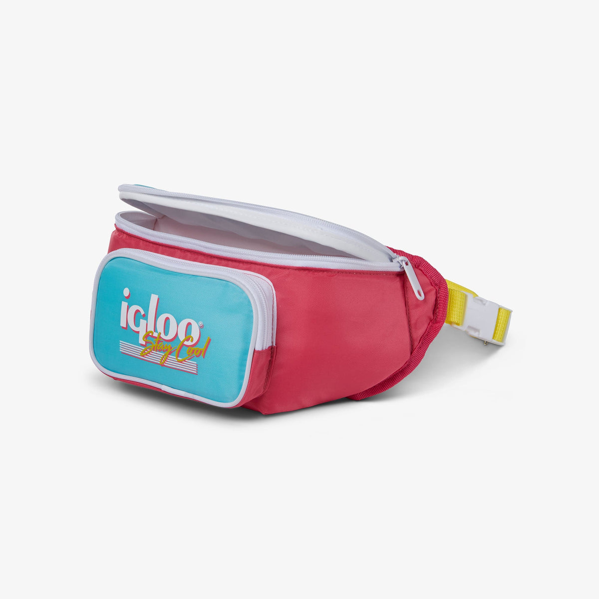 retro-fanny-pack-a4 00066058-O1.jpg