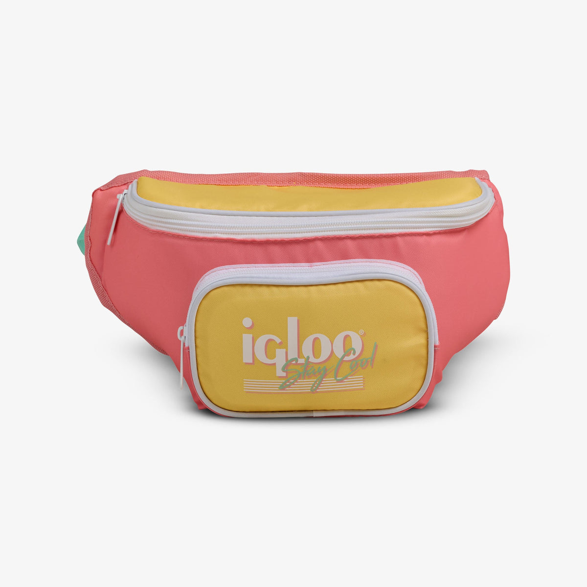 retro-fanny-pack-a4 00066660-F.jpg
