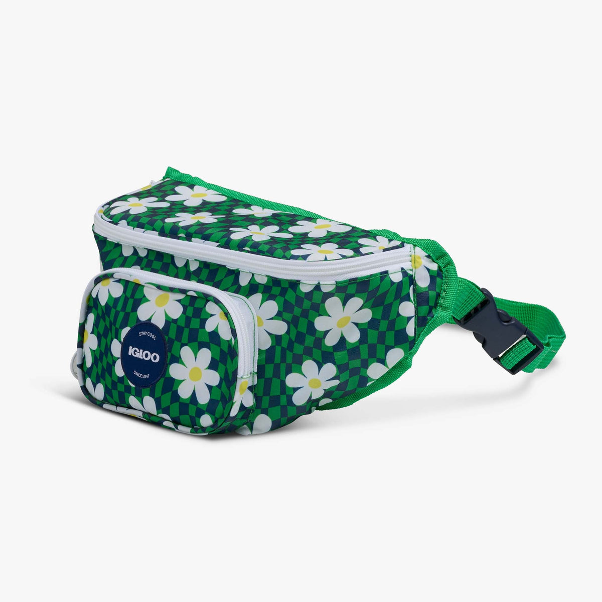 retro-fanny-pack-a4 00067206-H1.jpg