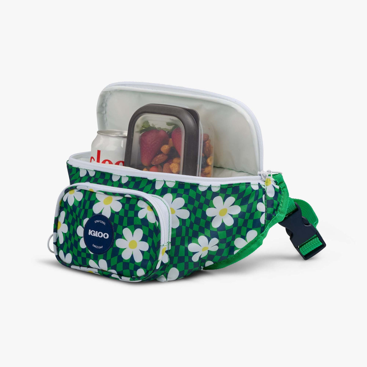 retro-fanny-pack-a4 00067206-P1.jpg